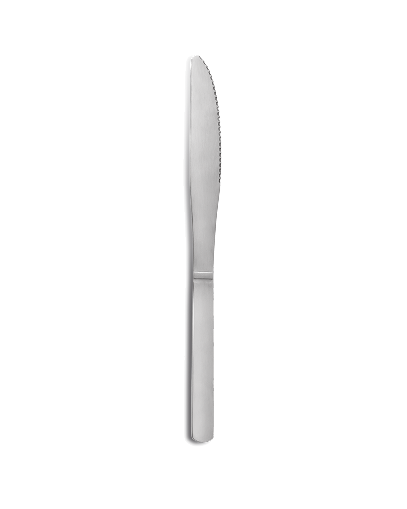 Cuchillo-de-mesa-ECO-(240-uds)